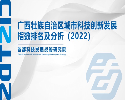 女人操逼的啊真干了真干了【成果发布】广西壮族自治区城市科技创新发展指数排名及分析（2022）